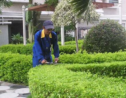 如何對十堰恐龍自行車綠道綠化工程進行養護管理？