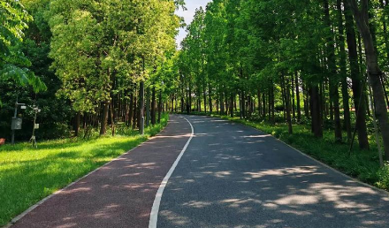 自行車綠道施工需要注意些什么？