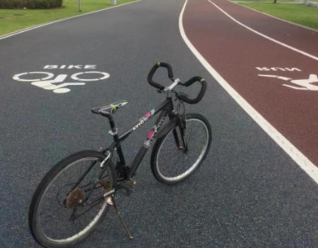 科學(xué)養(yǎng)護(hù)常態(tài)化 延長綠道使用壽命